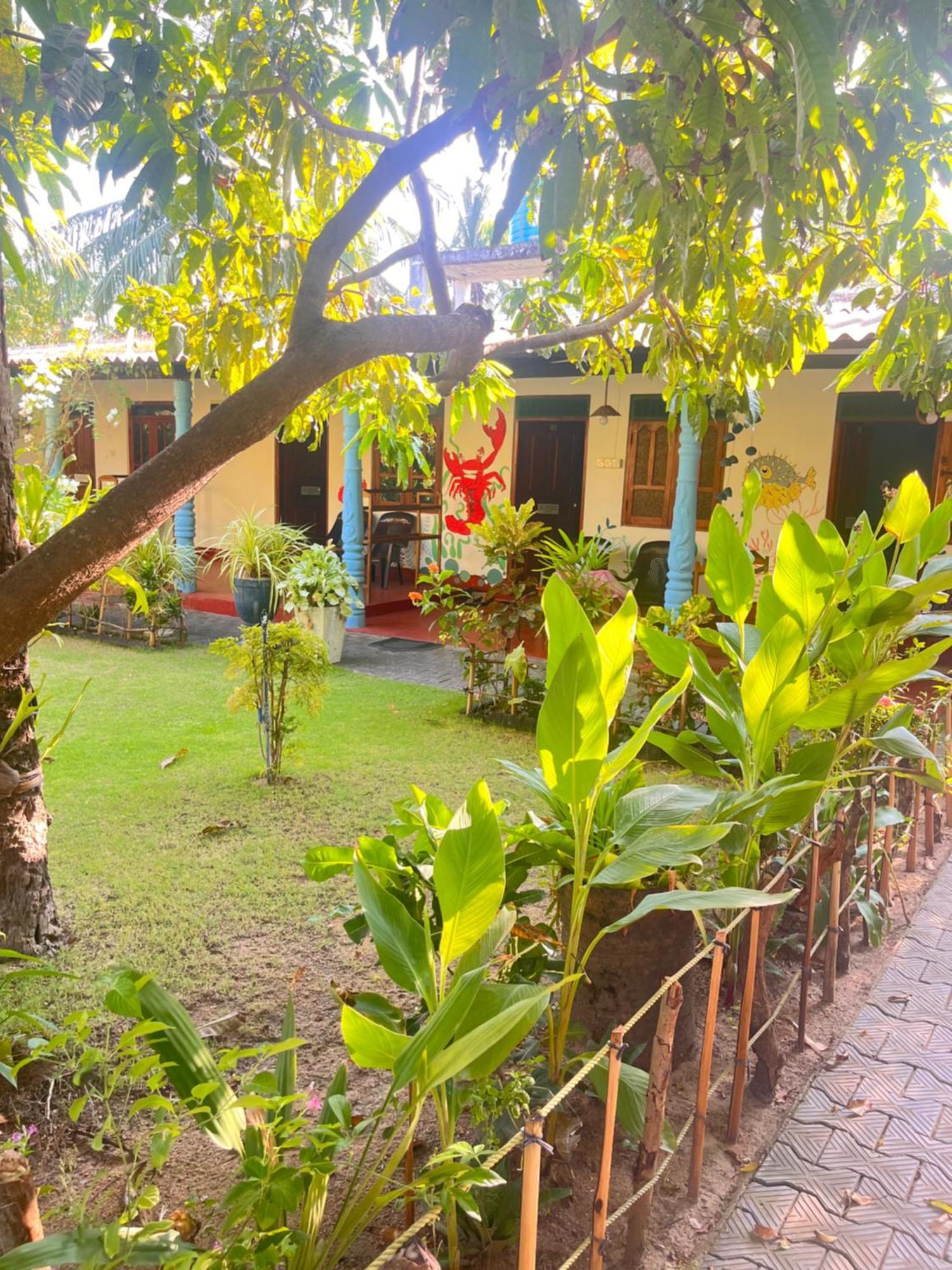 Lobster Inn ตรินโคมาลี ภายนอก รูปภาพ