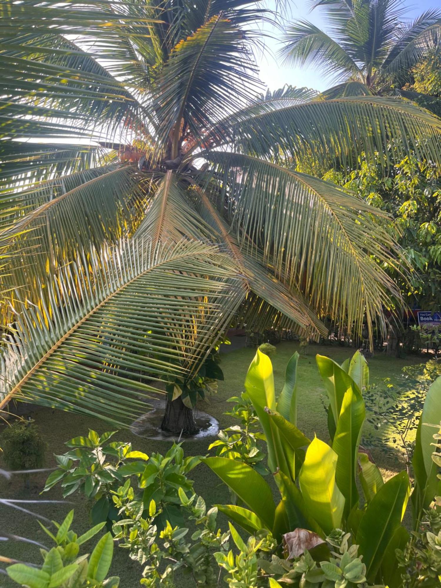 Lobster Inn ตรินโคมาลี ภายนอก รูปภาพ