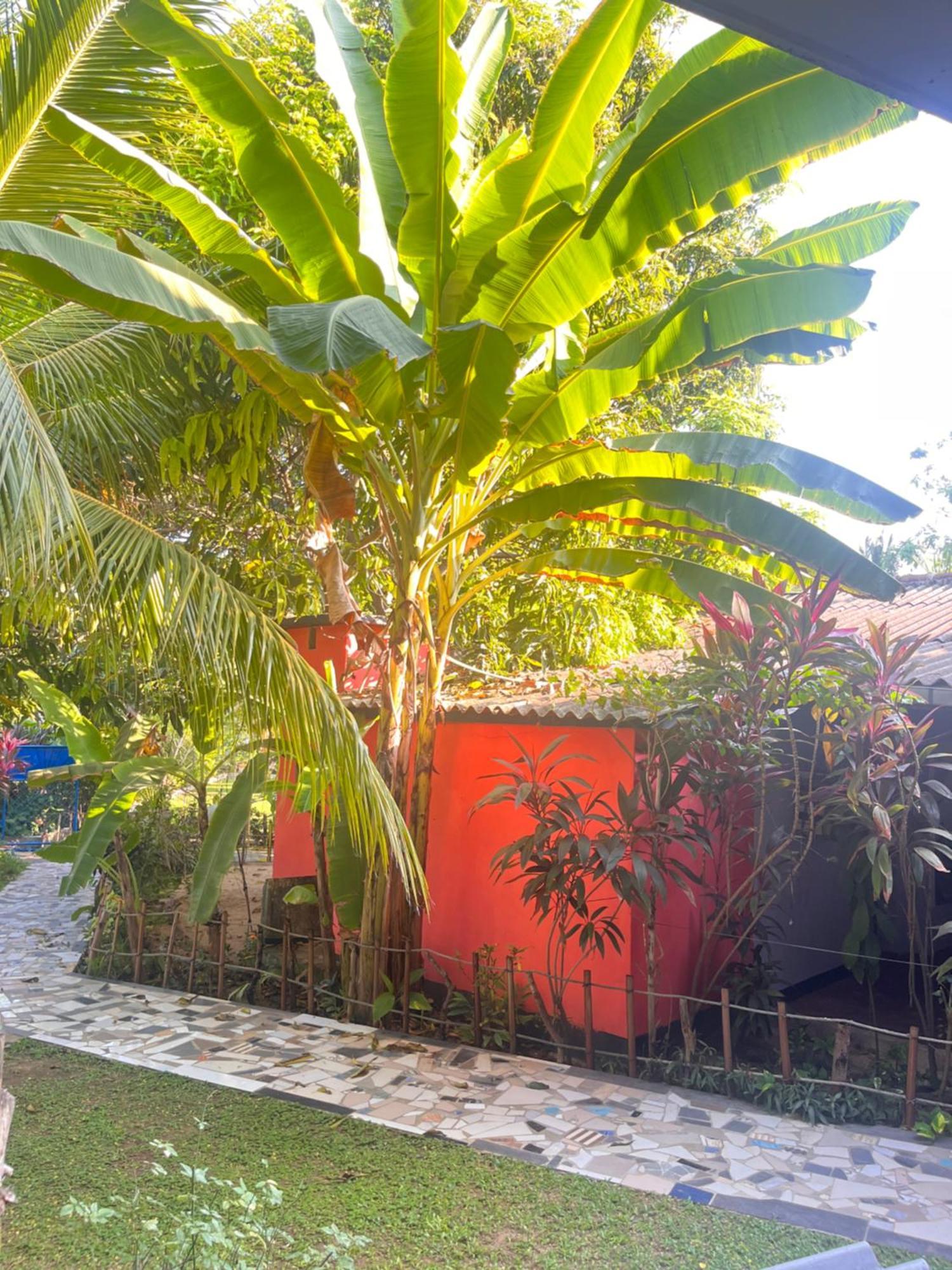 Lobster Inn ตรินโคมาลี ภายนอก รูปภาพ