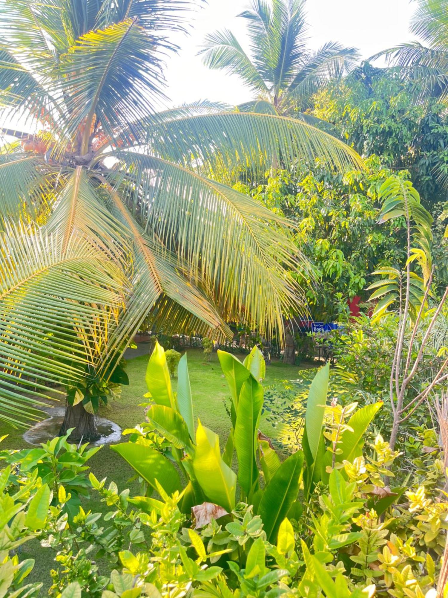 Lobster Inn ตรินโคมาลี ภายนอก รูปภาพ