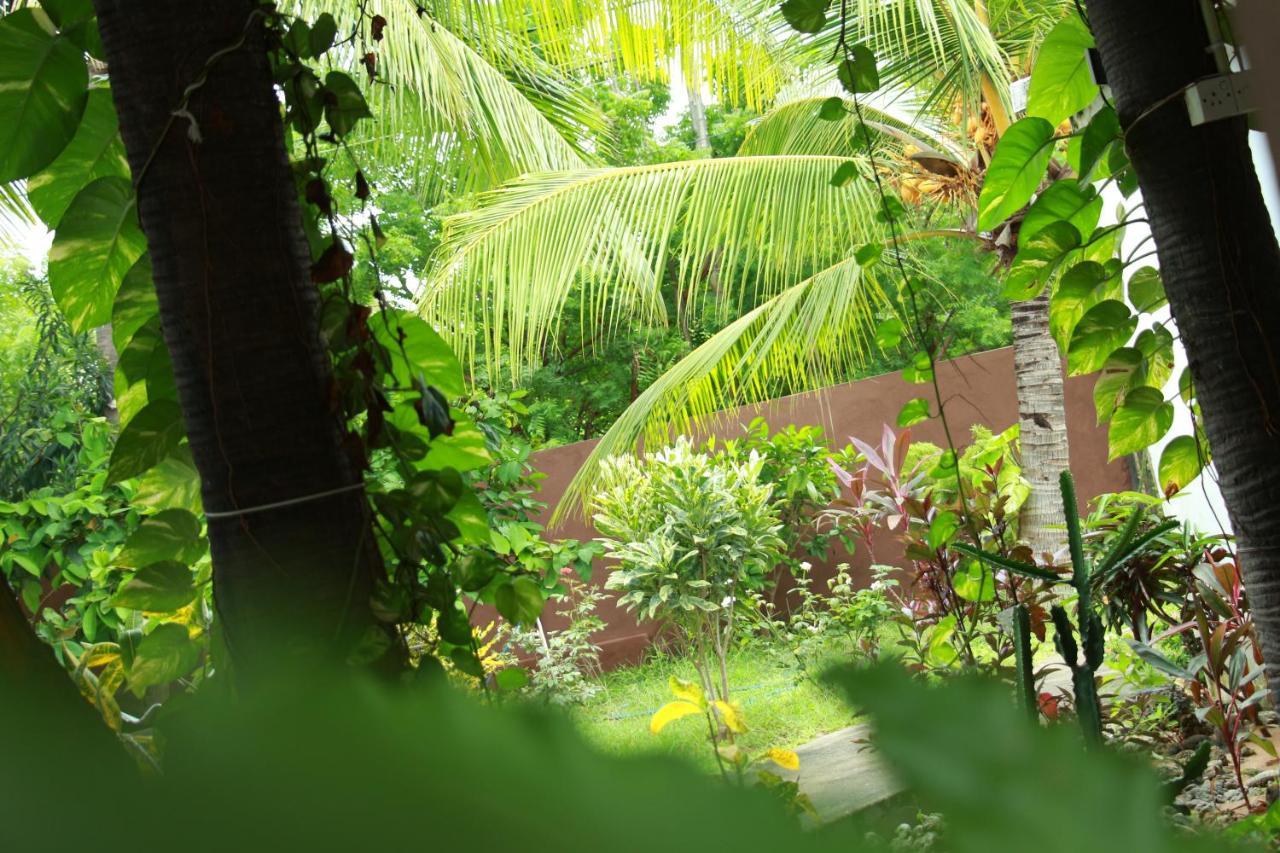 Lobster Inn ตรินโคมาลี ภายนอก รูปภาพ
